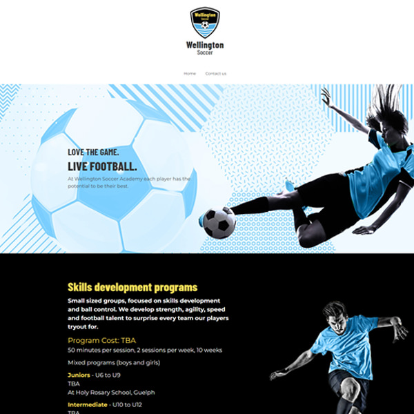 websitedesignguelphsample9